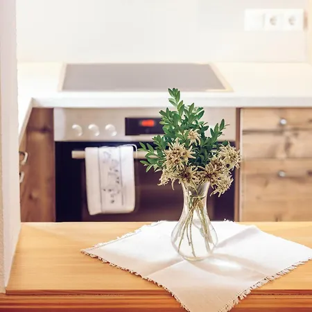 Haus Nr 39 * Bach (Tyrol)